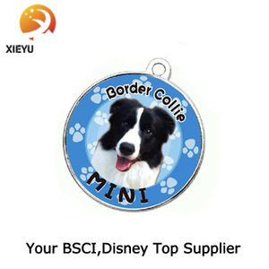 Etiqueta de perro grabada y completada de la insignia del color con Ballchain
